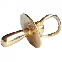 Vergouden Schoentje, Speen - HO509000009
