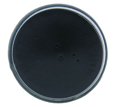 Avel Meubel Renovateur 4052 Onderhoud 275ml kl.20(D.Groen)