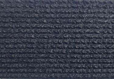 Dunlop Winter 10/60 Strook 10/60 D.Blauw